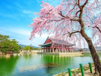 Du lịch Hàn Quốc nên mua gì về làm quà?