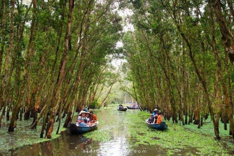 Exploring the Mekong Delta A Comprehensive Guide to Tours, Packages, and Reviews