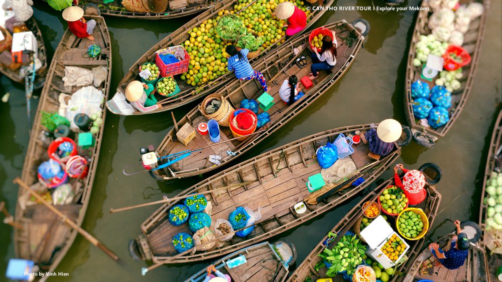 Exploring the Mekong Delta A Comprehensive Guide to Tours, Packages, and Reviews
