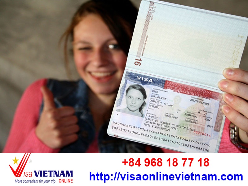 Visaonlinevietnam: Your Trusted Immigration Consultancy